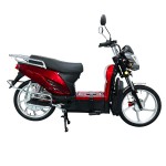 electric vehicles ladyboy head bumblebee front pocket lead-acid battery/lithium battery electric vehicles